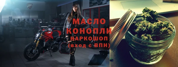 крисы Каменка