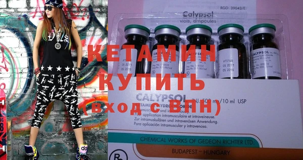 крисы Каменка