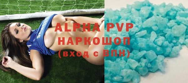 крисы Каменка
