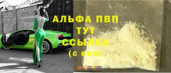 крисы Каменка