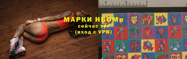 дживик Карпинск