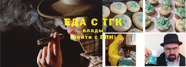 крисы Каменка